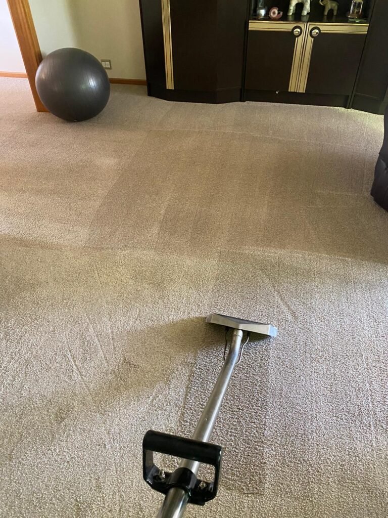 carpet cleaning