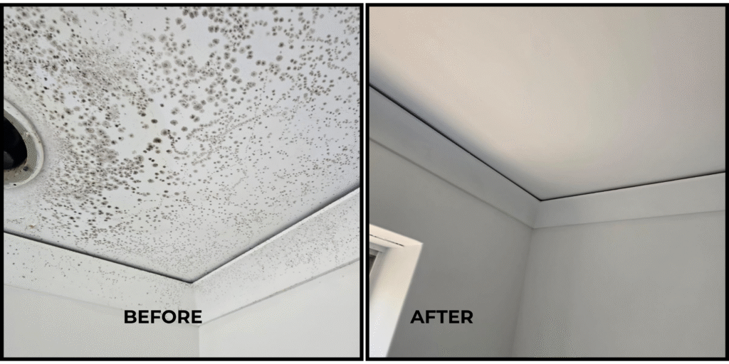 mould cleaning