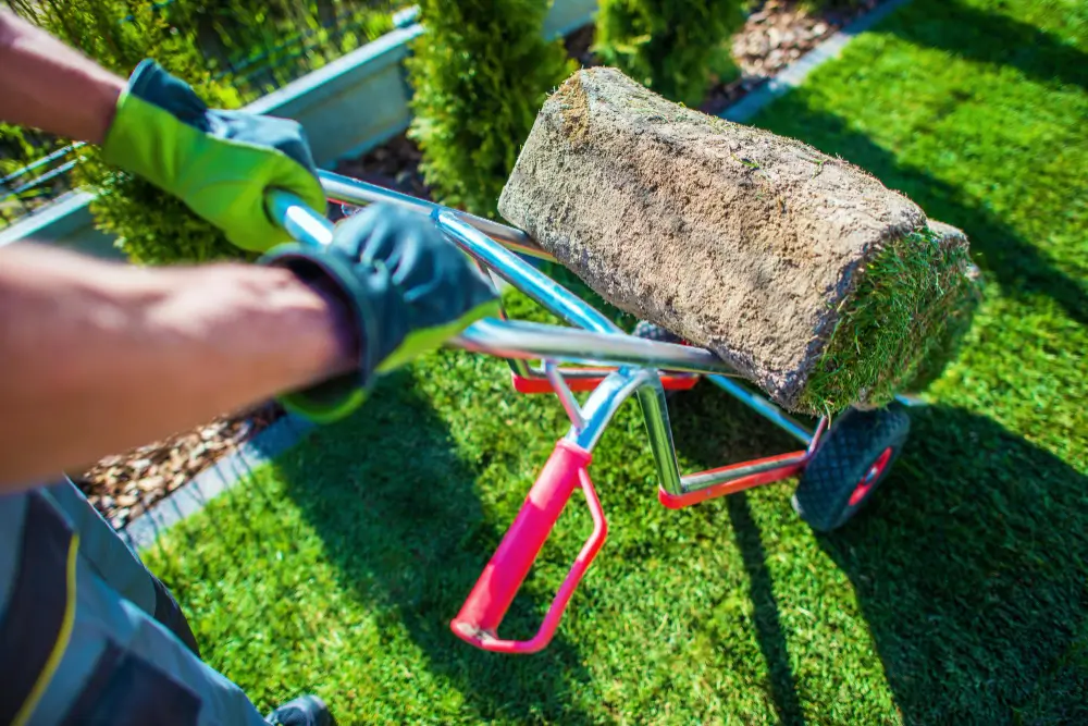 Gardening & Grounds Maintenance