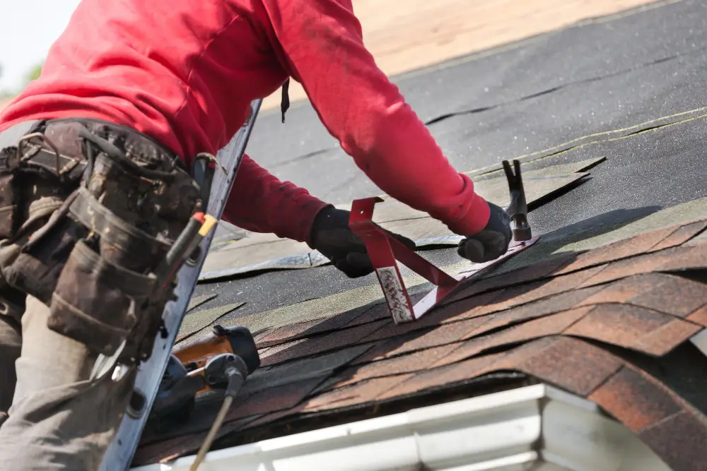 Gutter & Exterior Cleaning Adelaide