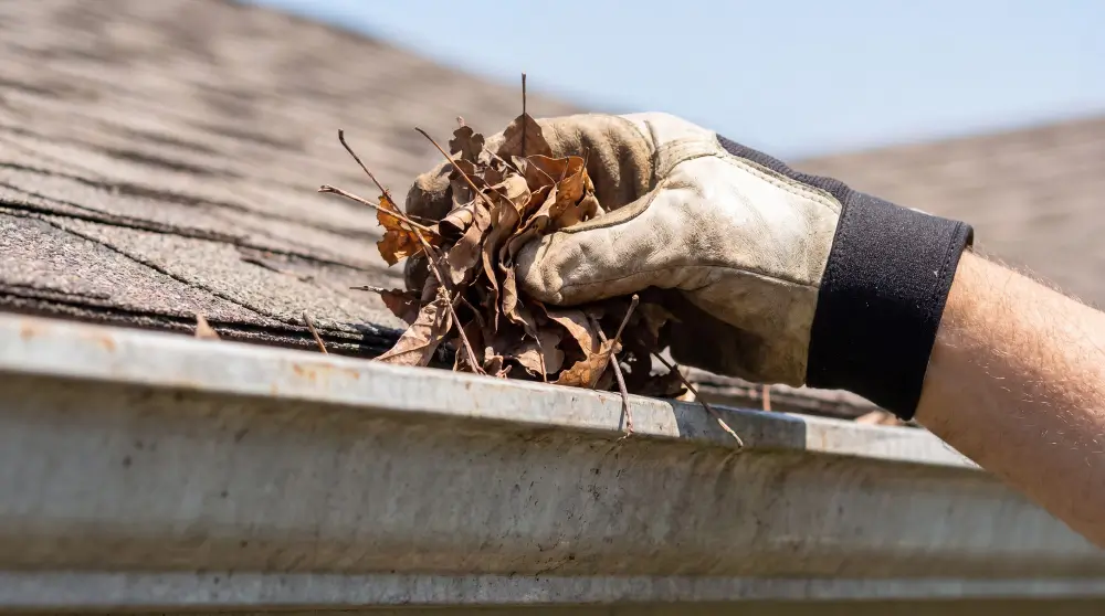 Gutter and Exterior Cleaning Adelaide