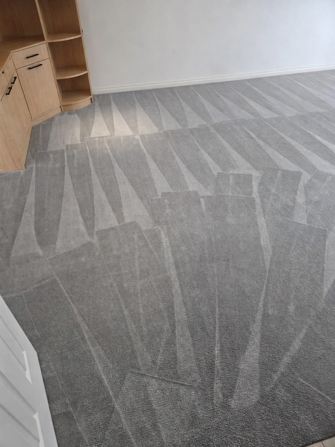 Commercial carpet cleaning project