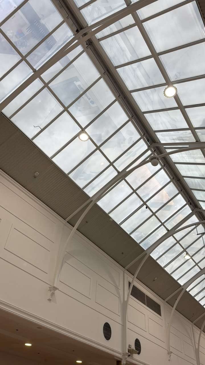 Commercial window cleaning project